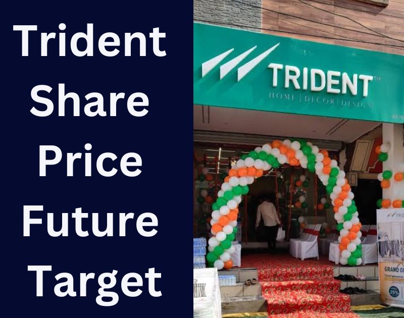 Trident Share Price Future Target Trident Share Price Target 2022, 2023, 2024, 2025, 2030